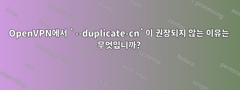 OpenVPN에서 `--duplicate-cn`이 권장되지 않는 이유는 무엇입니까?