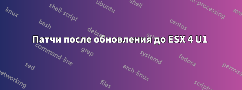Патчи после обновления до ESX 4 U1