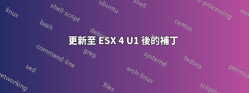 更新至 ESX 4 U1 後的補丁
