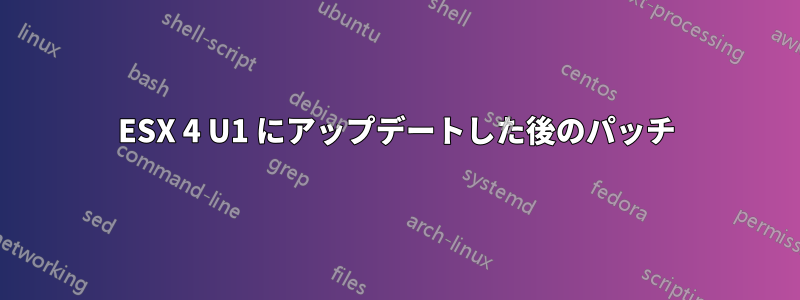 ESX 4 U1 にアップデートした後のパッチ