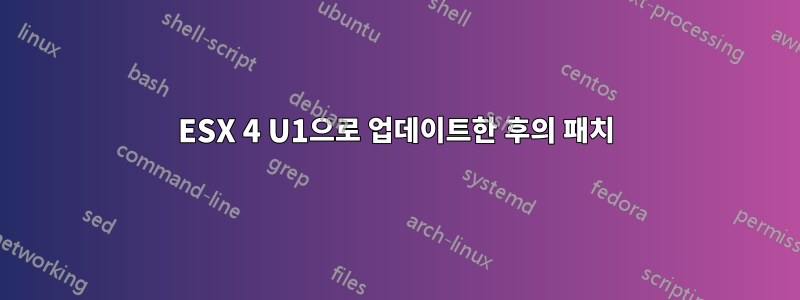 ESX 4 U1으로 업데이트한 후의 패치