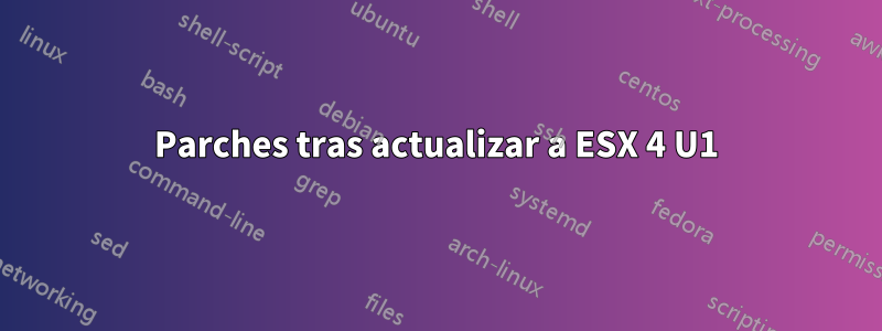 Parches tras actualizar a ESX 4 U1