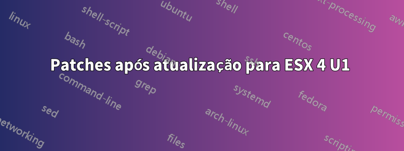 Patches após atualização para ESX 4 U1