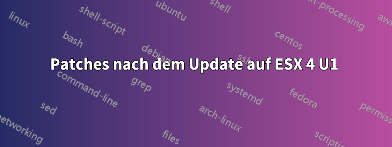 Patches nach dem Update auf ESX 4 U1