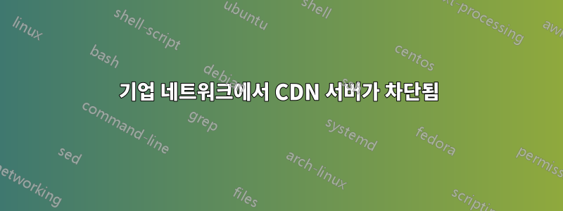 기업 네트워크에서 CDN 서버가 차단됨