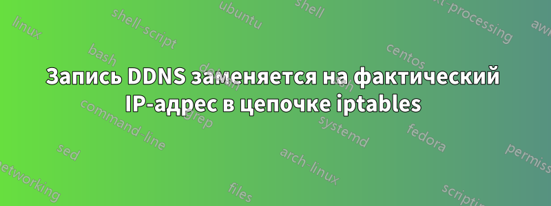 Запись DDNS заменяется на фактический IP-адрес в цепочке iptables