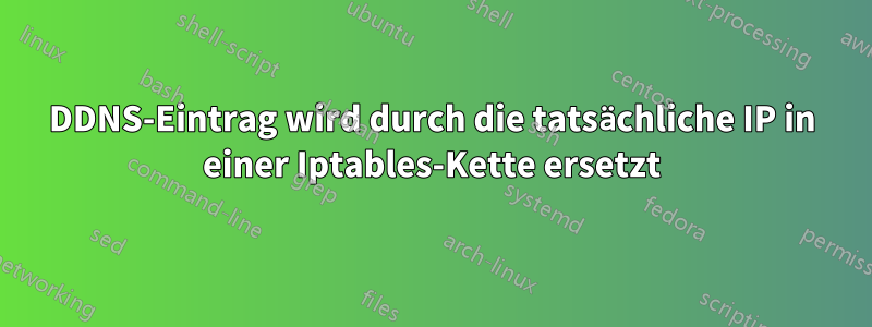DDNS-Eintrag wird durch die tatsächliche IP in einer Iptables-Kette ersetzt