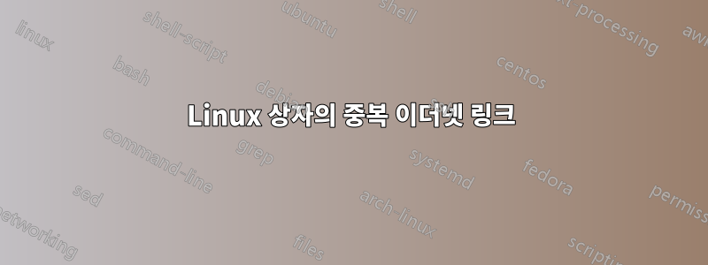 Linux 상자의 중복 이더넷 링크