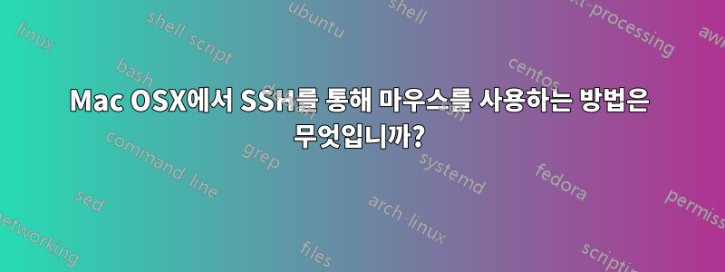 Mac OSX에서 SSH를 통해 마우스를 사용하는 방법은 무엇입니까?