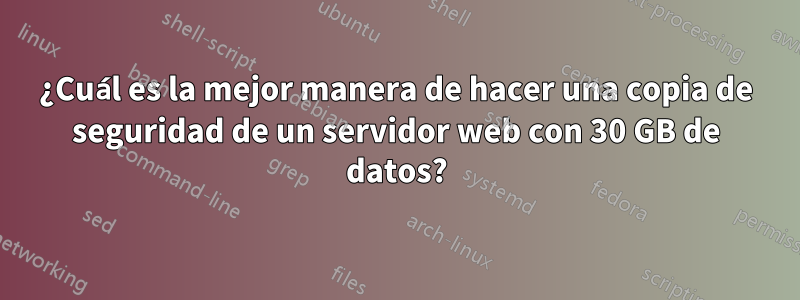 ¿Cuál es la mejor manera de hacer una copia de seguridad de un servidor web con 30 GB de datos?