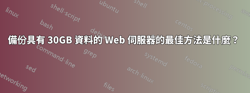 備份具有 30GB 資料的 Web 伺服器的最佳方法是什麼？