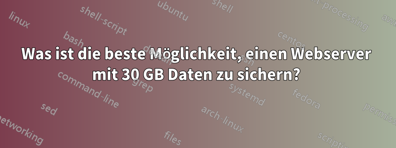 Was ist die beste Möglichkeit, einen Webserver mit 30 GB Daten zu sichern?