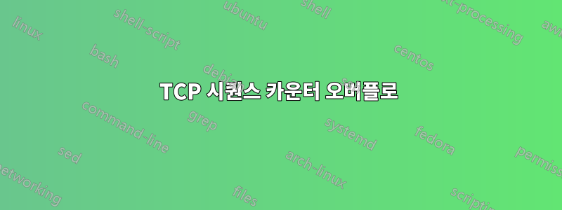 TCP 시퀀스 카운터 오버플로