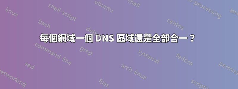 每個網域一個 DNS 區域還是全部合一？