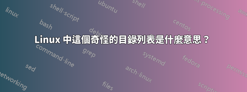 Linux 中這個奇怪的目錄列表是什麼意思？