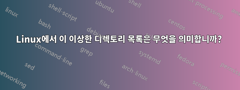 Linux에서 이 이상한 디렉토리 목록은 무엇을 의미합니까?