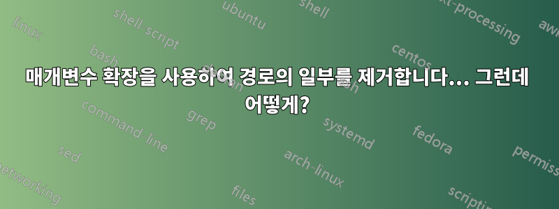 매개변수 확장을 사용하여 경로의 일부를 제거합니다... 그런데 어떻게?