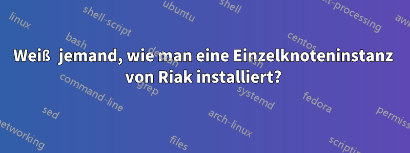 Weiß jemand, wie man eine Einzelknoteninstanz von Riak installiert?