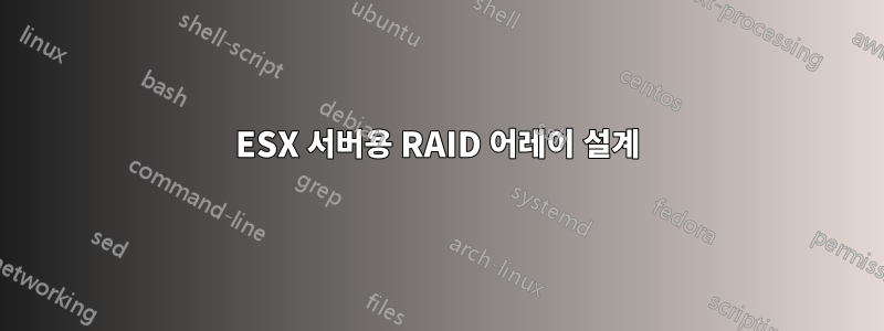 ESX 서버용 RAID 어레이 설계