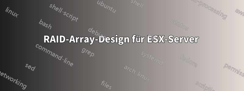 RAID-Array-Design für ESX-Server