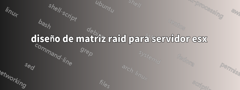 diseño de matriz raid para servidor esx