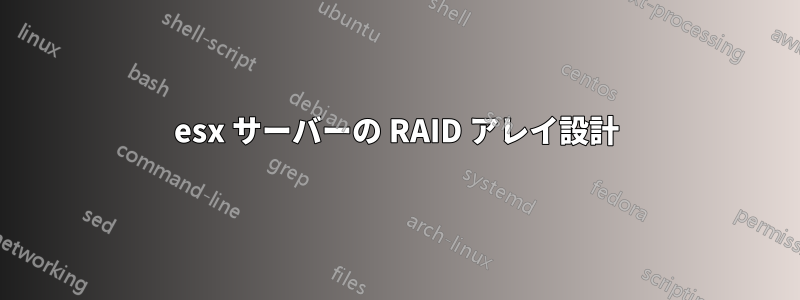 esx サーバーの RAID アレイ設計