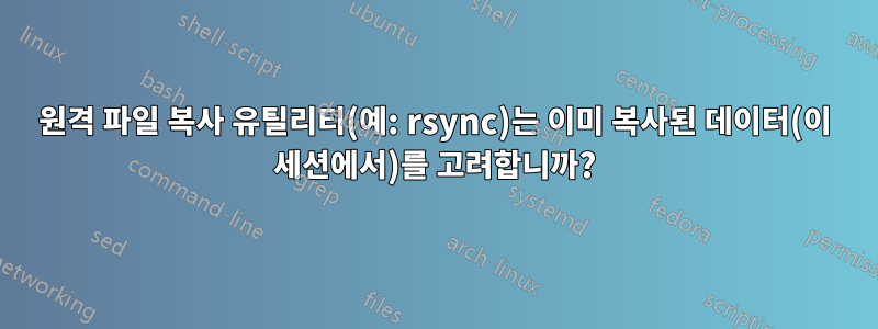 원격 파일 복사 유틸리티(예: rsync)는 이미 복사된 데이터(이 세션에서)를 고려합니까?