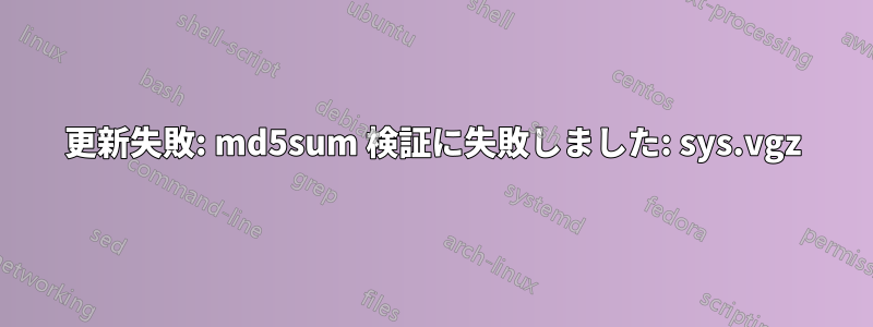 更新失敗: md5sum 検証に失敗しました: sys.vgz