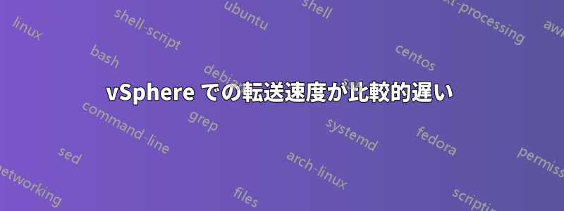 vSphere での転送速度が比較的遅い