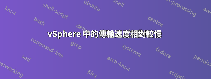 vSphere 中的傳輸速度相對較慢