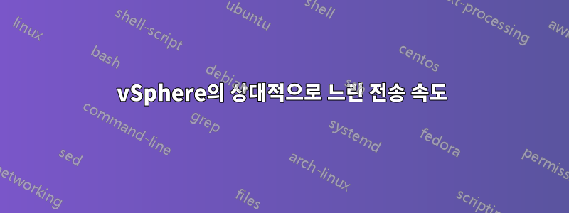 vSphere의 상대적으로 느린 전송 속도