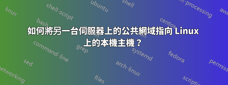 如何將另一台伺服器上的公共網域指向 Linux 上的本機主機？