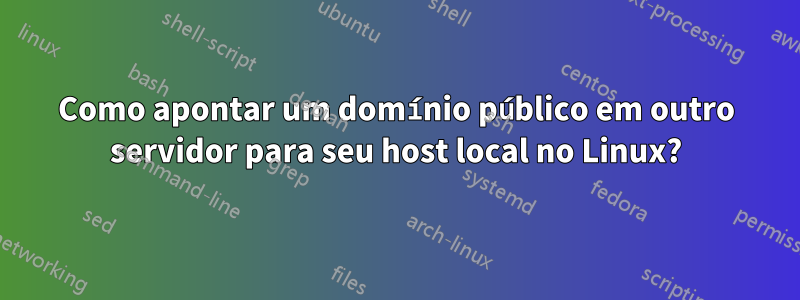 Como apontar um domínio público em outro servidor para seu host local no Linux?