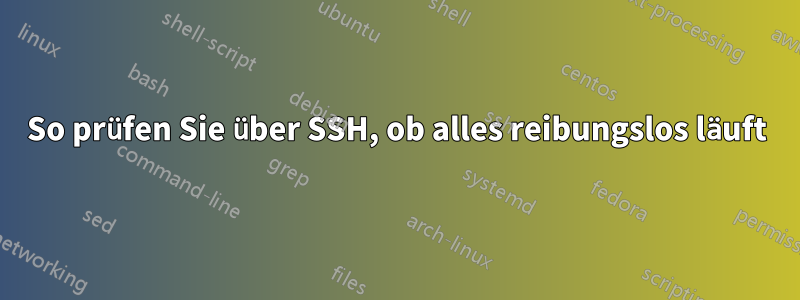 So prüfen Sie über SSH, ob alles reibungslos läuft