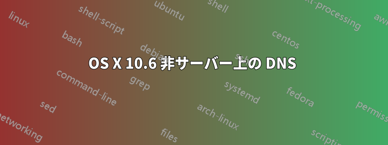 OS X 10.6 非サーバー上の DNS