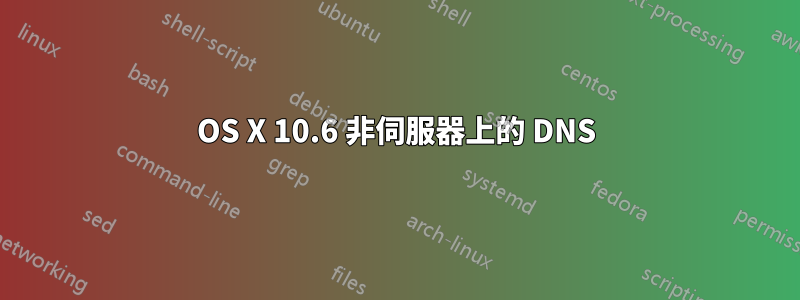 OS X 10.6 非伺服器上的 DNS