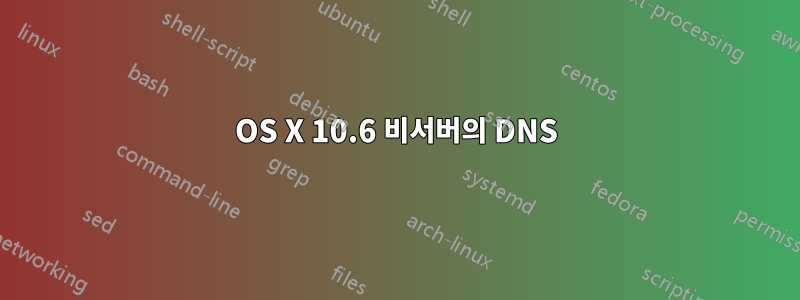 OS X 10.6 비서버의 DNS