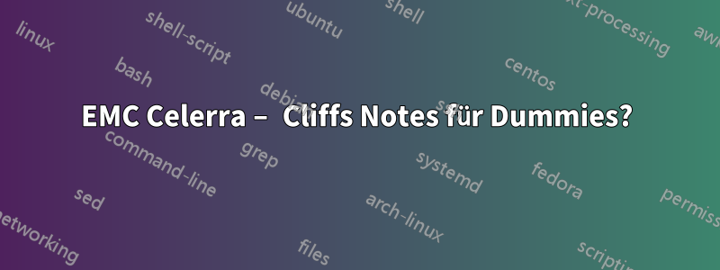 EMC Celerra – Cliffs Notes für Dummies?