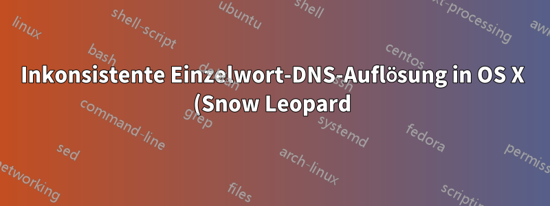 Inkonsistente Einzelwort-DNS-Auflösung in OS X (Snow Leopard)