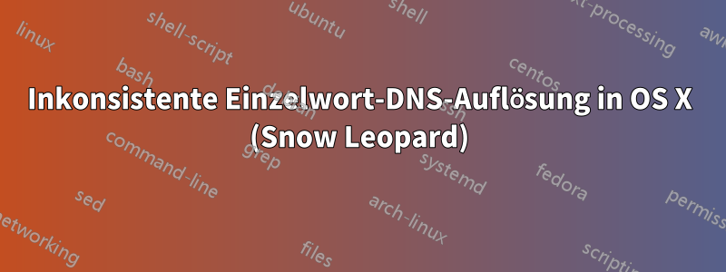 Inkonsistente Einzelwort-DNS-Auflösung in OS X (Snow Leopard)