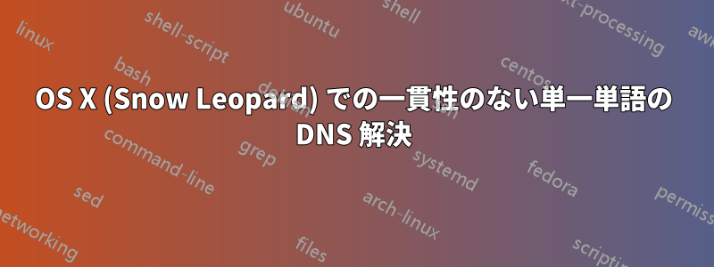 OS X (Snow Leopard) での一貫性のない単一単語の DNS 解決