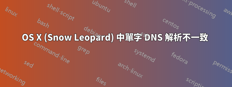 OS X (Snow Leopard) 中單字 DNS 解析不一致