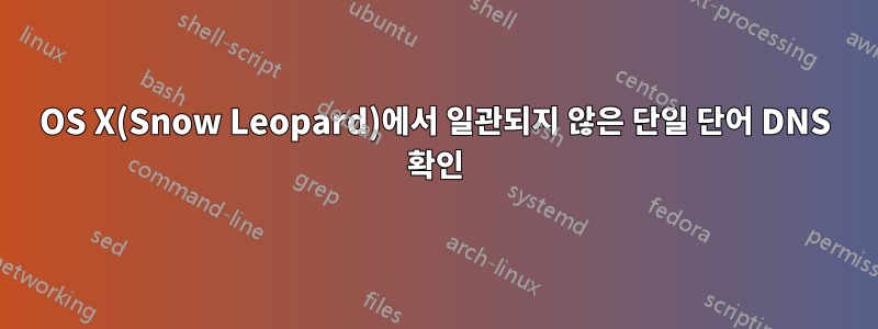 OS X(Snow Leopard)에서 일관되지 않은 단일 단어 DNS 확인