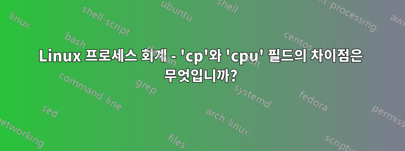 Linux 프로세스 회계 - 'cp'와 'cpu' 필드의 차이점은 무엇입니까?