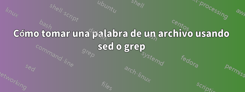 Cómo tomar una palabra de un archivo usando sed o grep