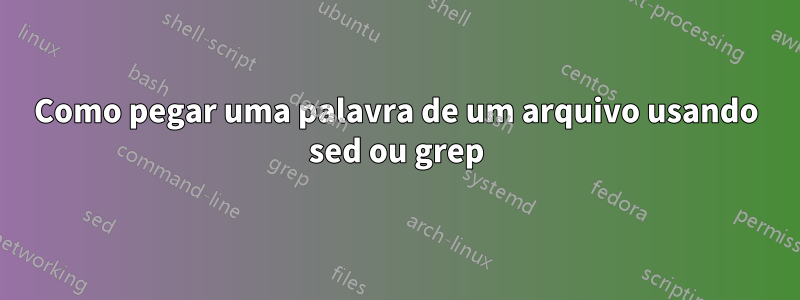 Como pegar uma palavra de um arquivo usando sed ou grep