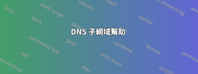 DNS 子網域幫助