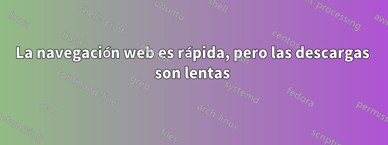 La navegación web es rápida, pero las descargas son lentas