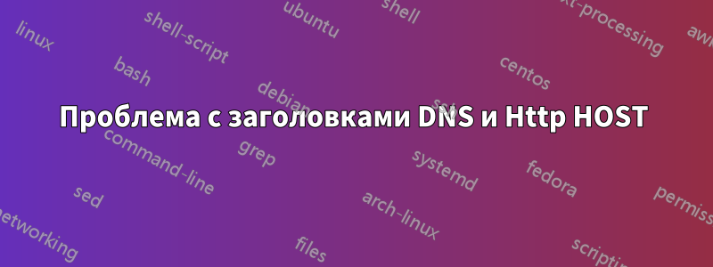 Проблема с заголовками DNS и Http HOST