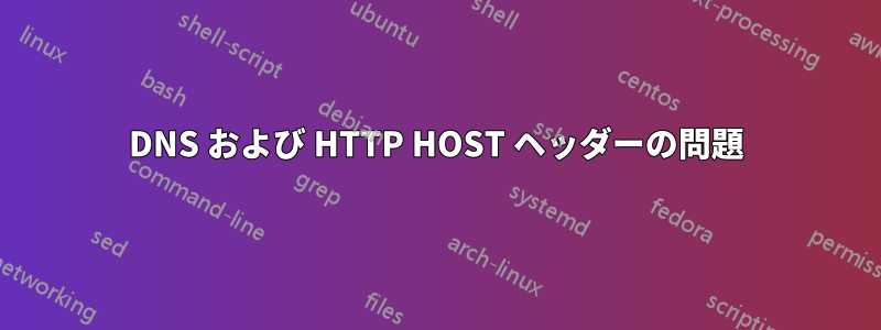 DNS および HTTP HOST ヘッダーの問題